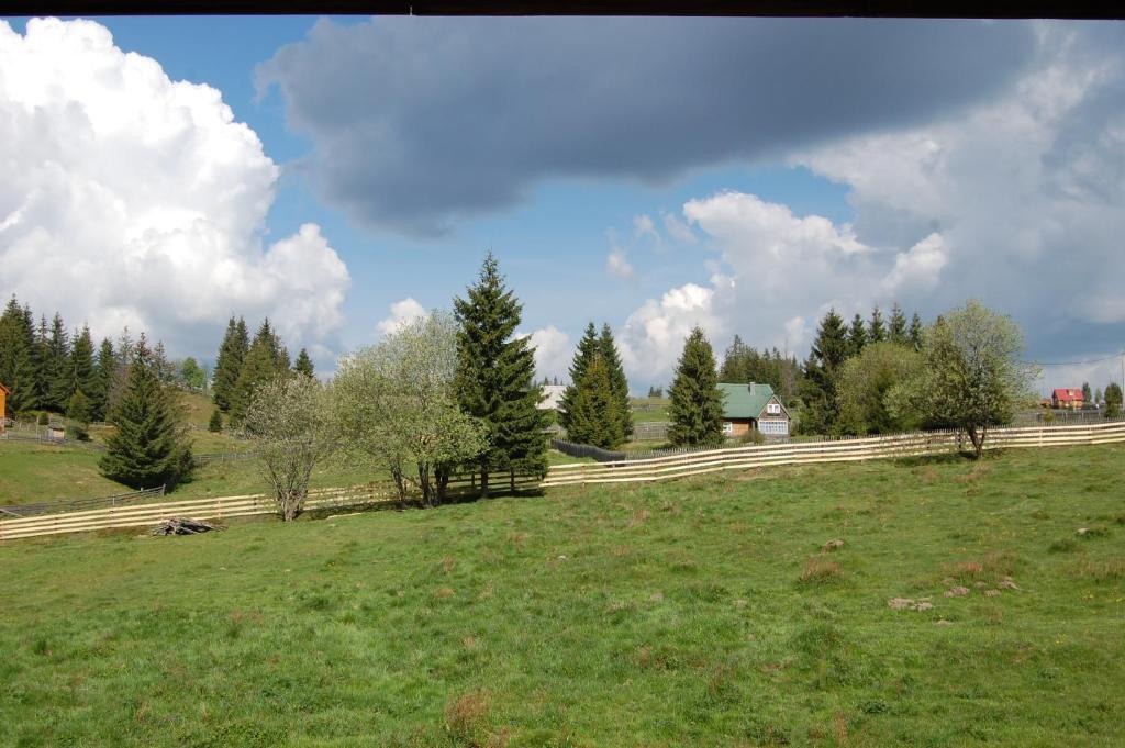 Cabana Motilor Mărişel Zewnętrze zdjęcie