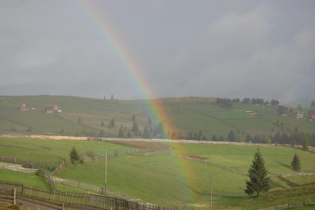 Cabana Motilor Mărişel Zewnętrze zdjęcie