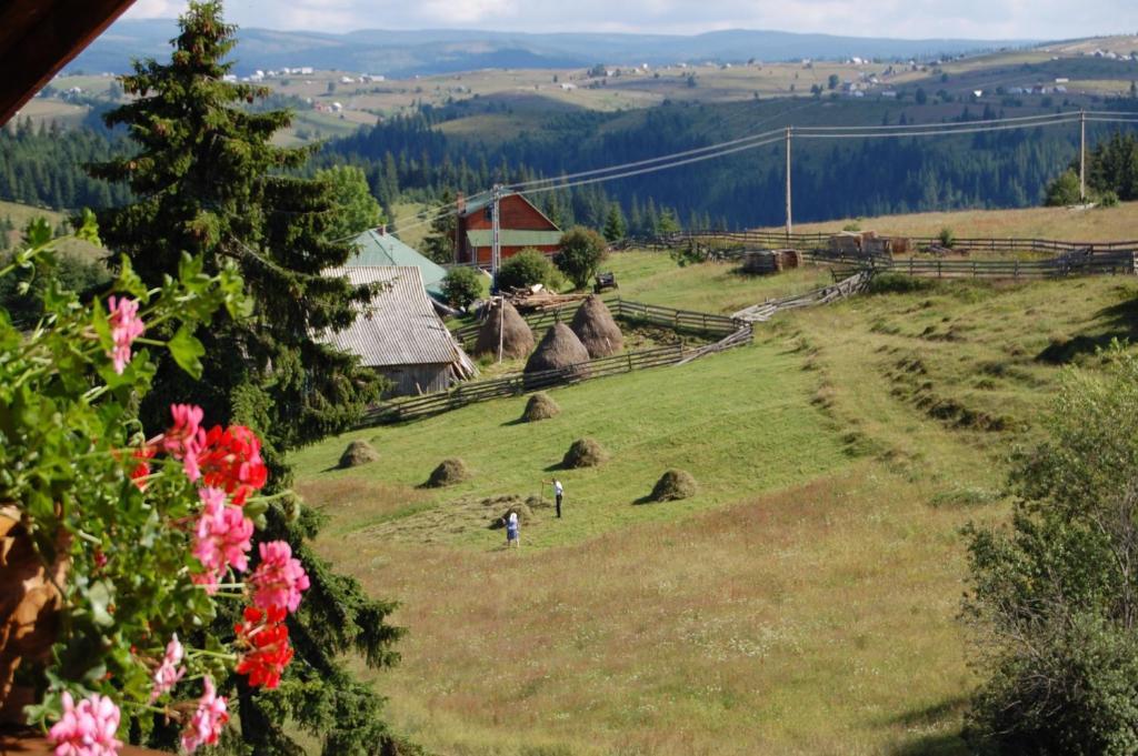 Cabana Motilor Mărişel Zewnętrze zdjęcie