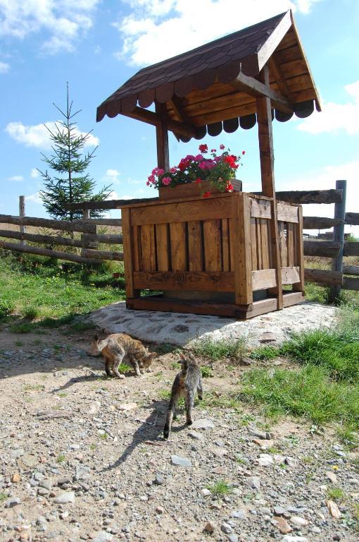Cabana Motilor Mărişel Zewnętrze zdjęcie