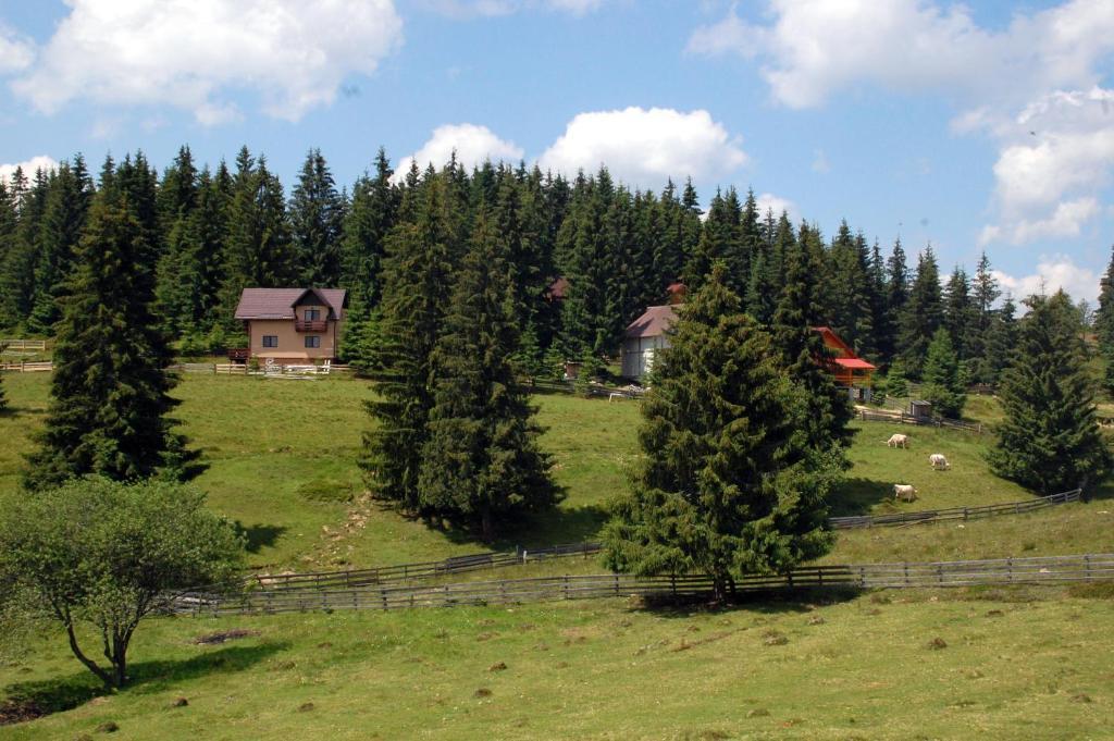 Cabana Motilor Mărişel Pokój zdjęcie