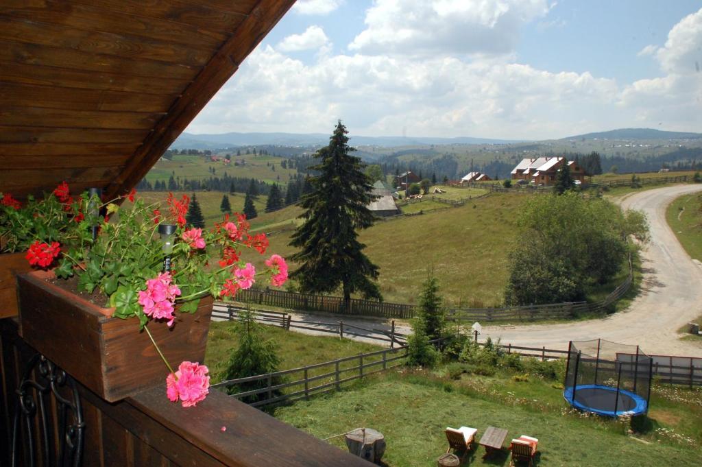 Cabana Motilor Mărişel Pokój zdjęcie
