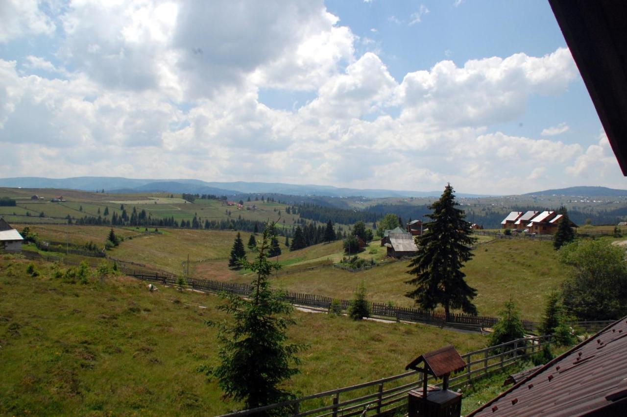 Cabana Motilor Mărişel Pokój zdjęcie
